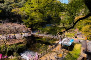 塩浸温泉龍馬公園 風景