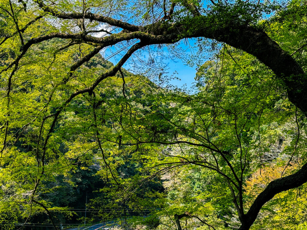 塩浸温泉龍馬公園 風景