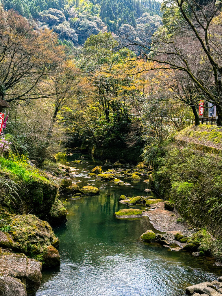 塩浸温泉龍馬公園 風景