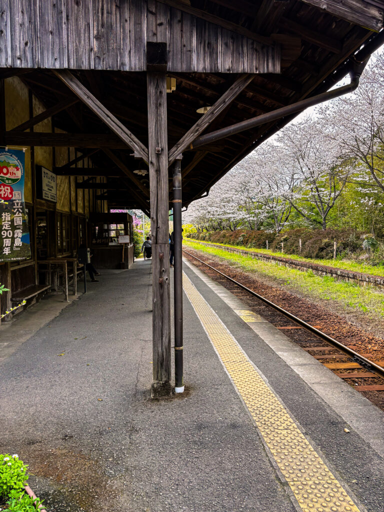 春の嘉例川駅と桜