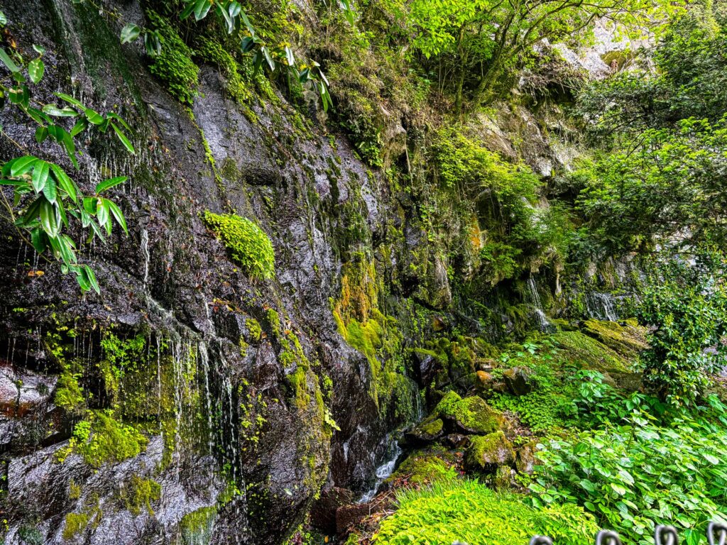 高千穂峡