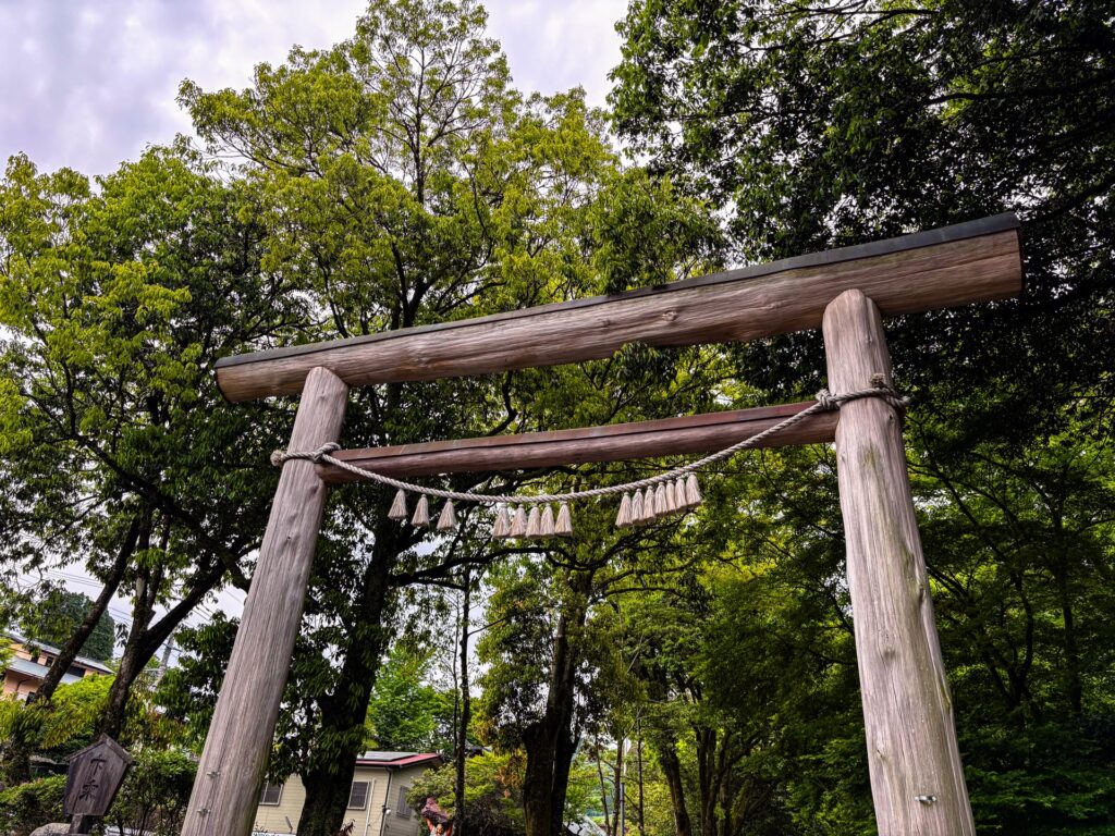天岩戸神社 鳥居