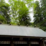 天岩戸神社 本殿