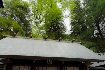 天岩戸神社 本殿