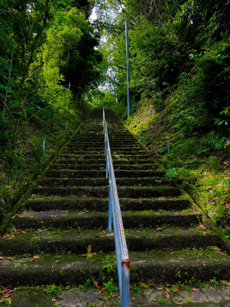 鹿屋市 月読神社