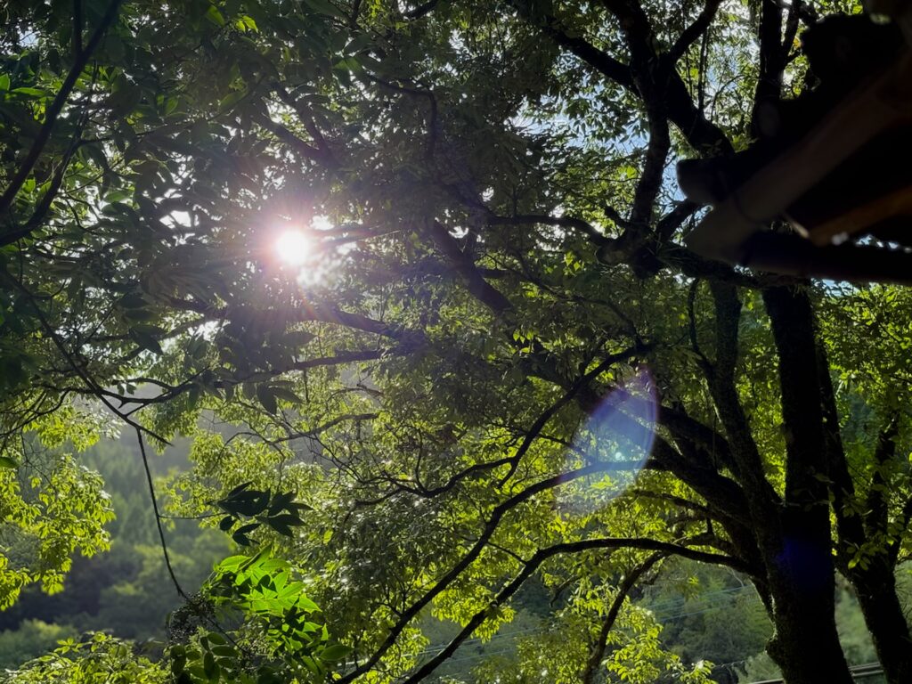 淡島阿弥陀堂