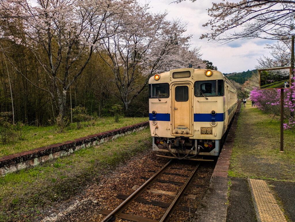 嘉例川駅の電車と桜