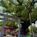山宮神社