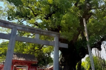 山宮神社
