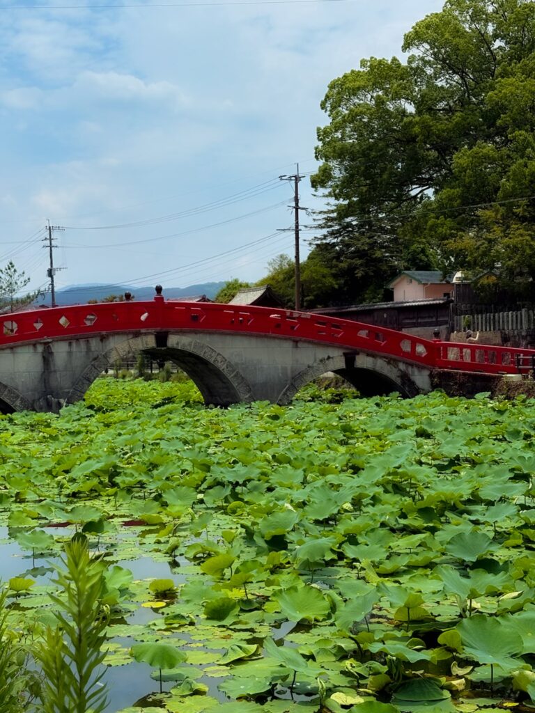 青井阿蘇神社