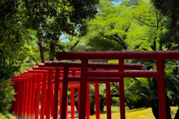 宮崎神宮