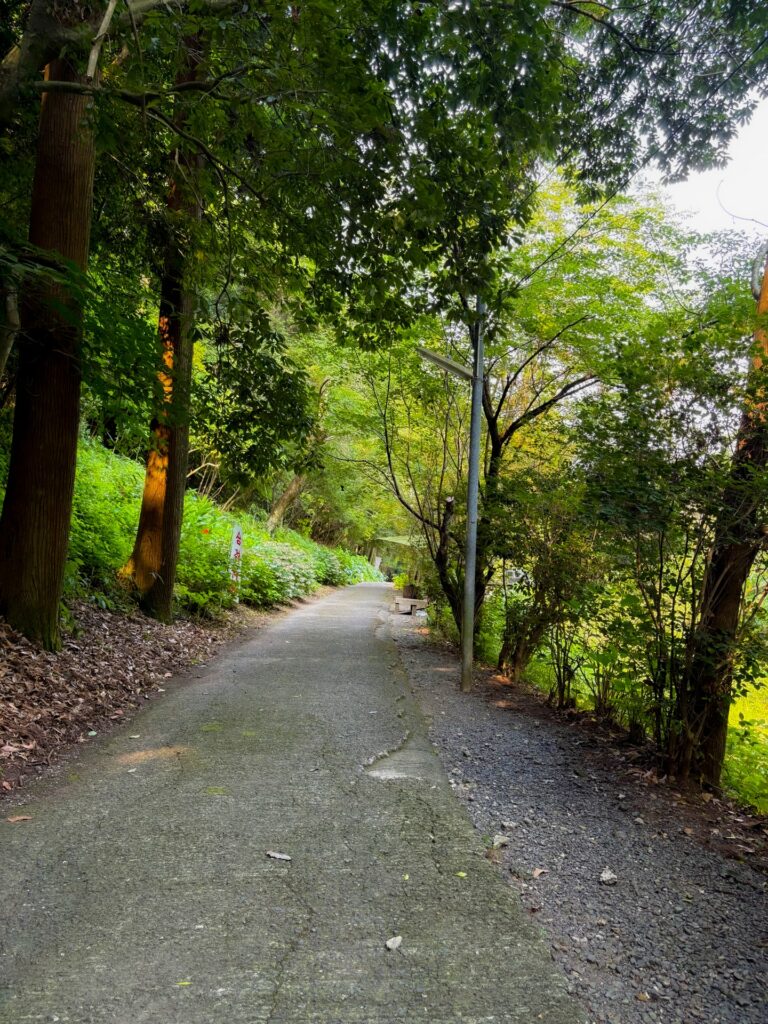 鷹直神社