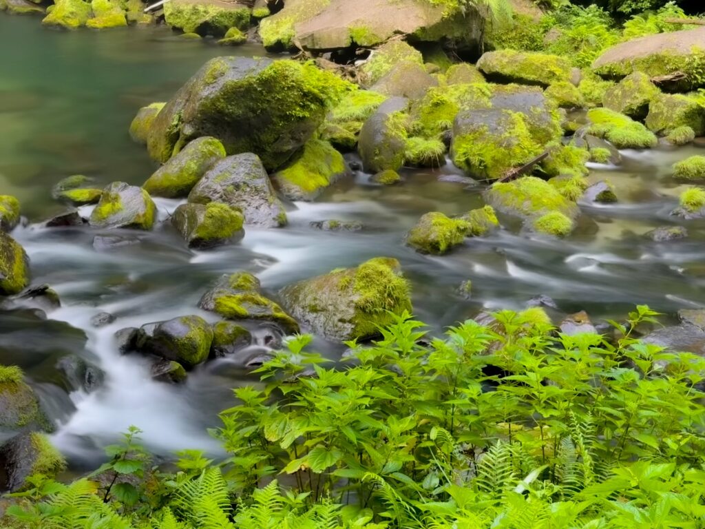 神川大滝
