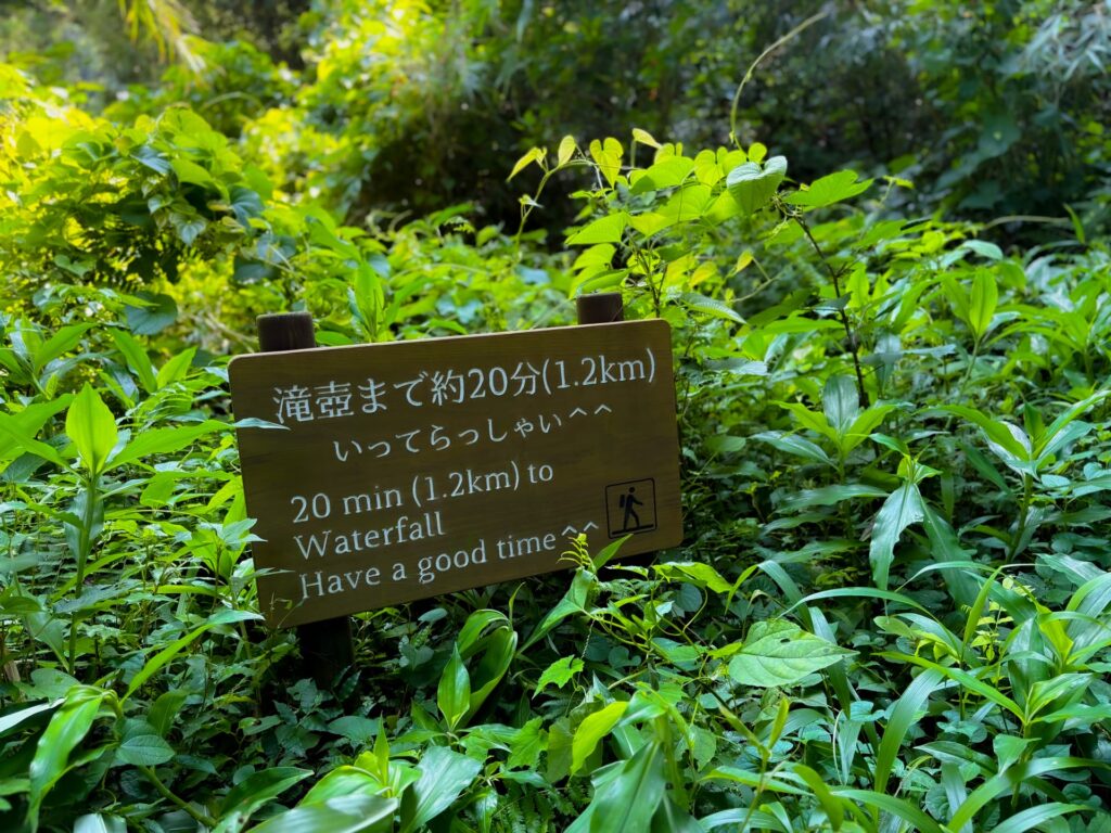 雄川の滝 遊歩道