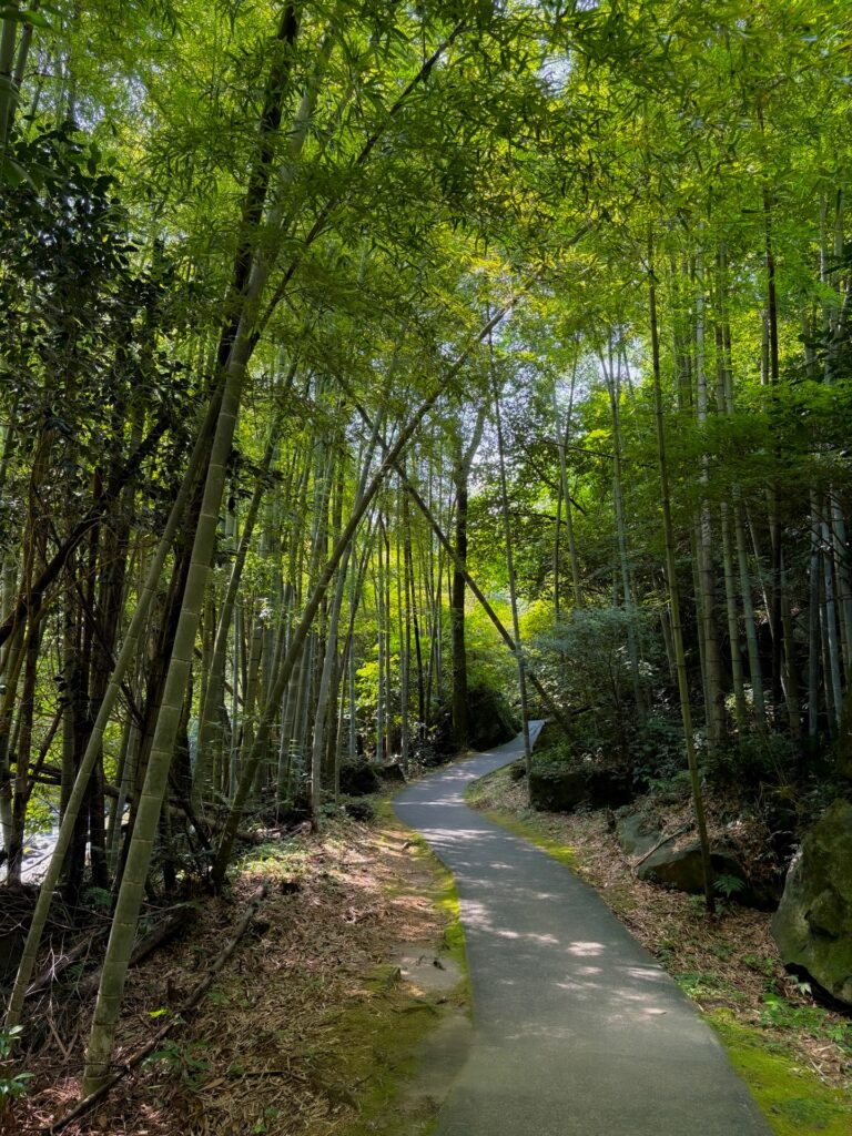 雄川の滝 遊歩道