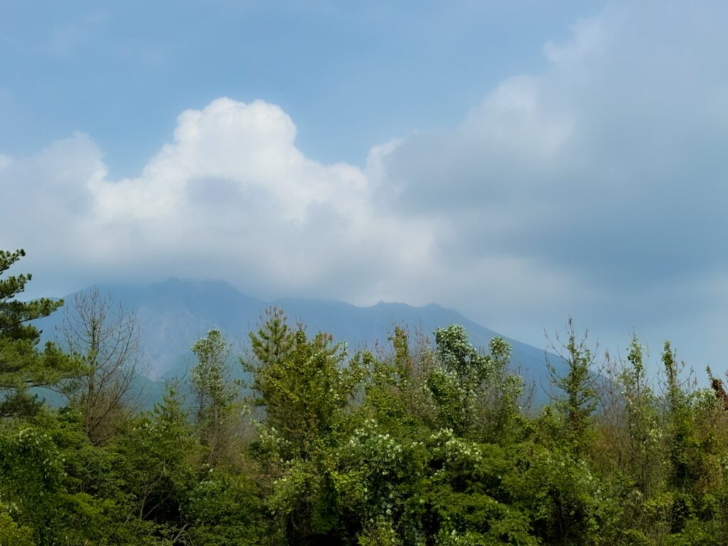 桜島