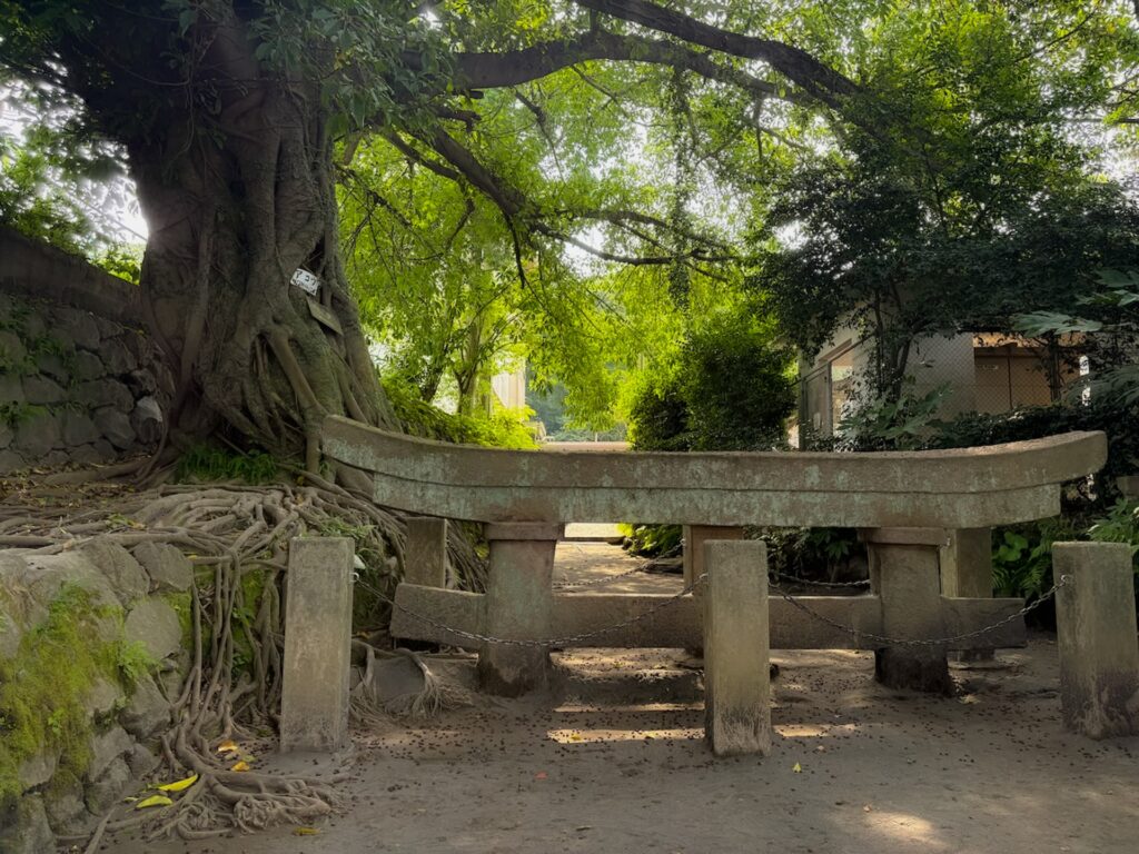 黒神埋没鳥居