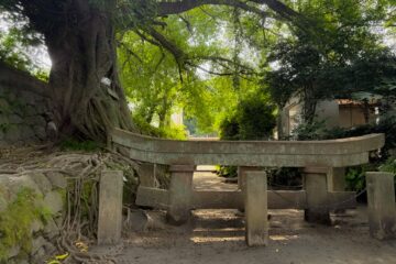 黒神埋没鳥居