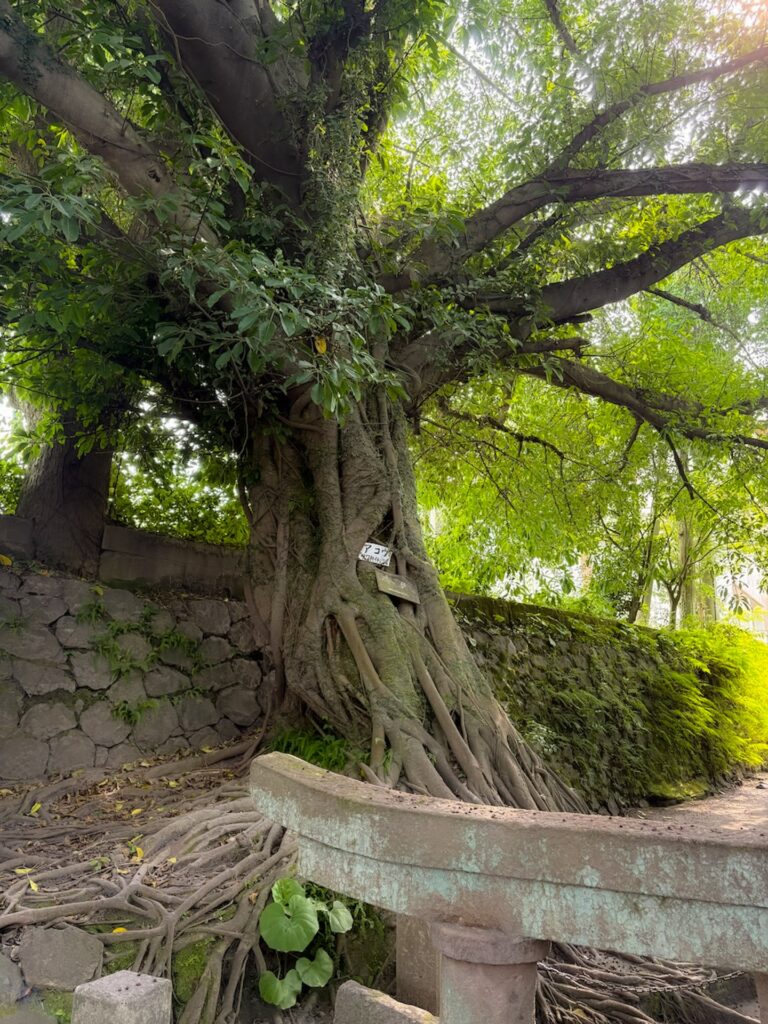 黒神埋没鳥居