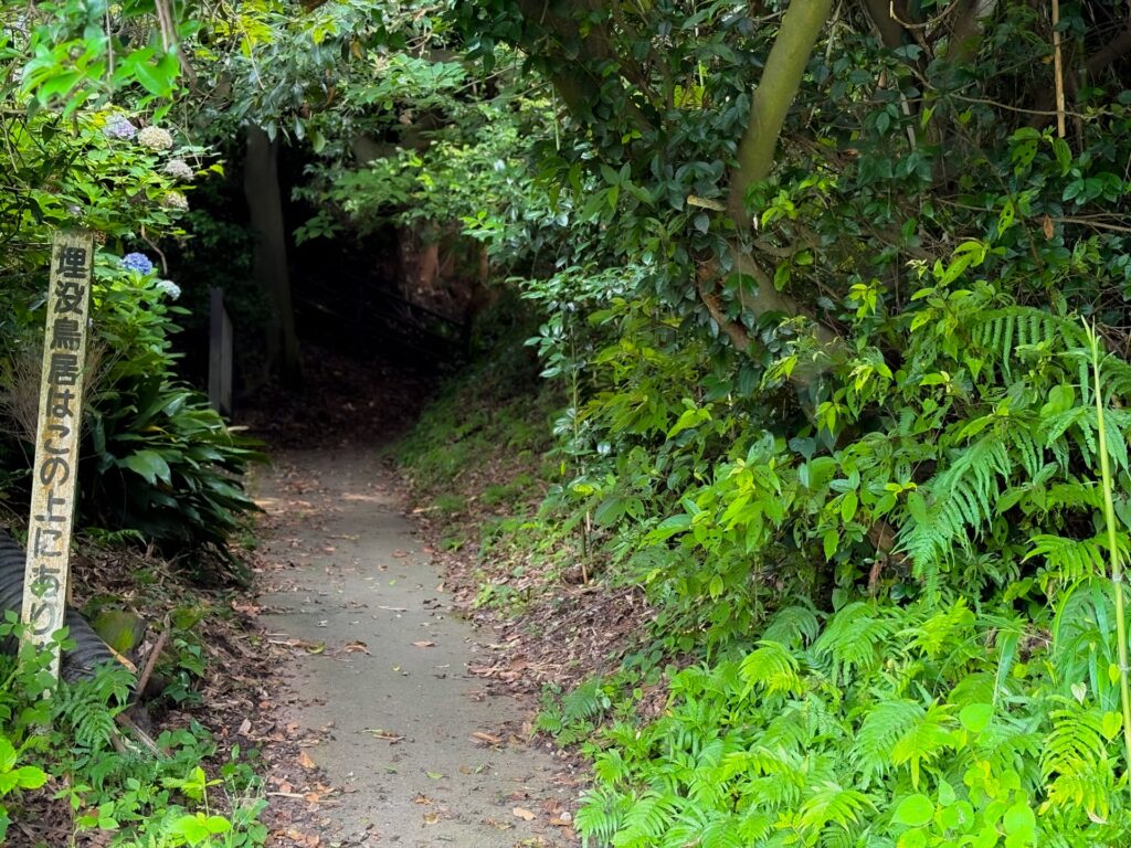 牛根麓埋没鳥居