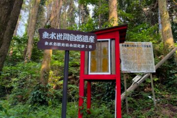 牛根麓埋没鳥居