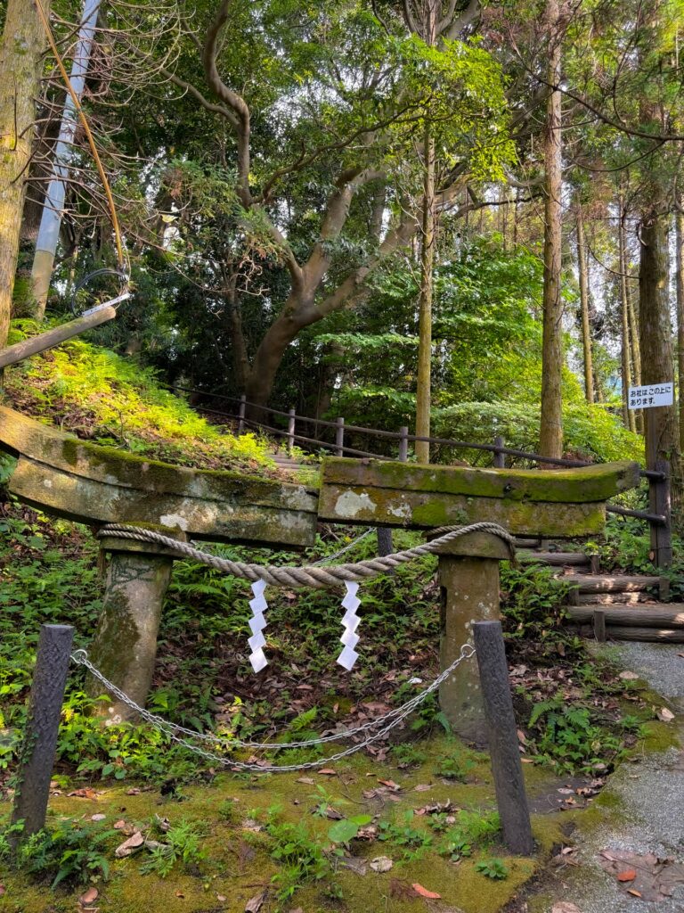 牛根麓埋没鳥居