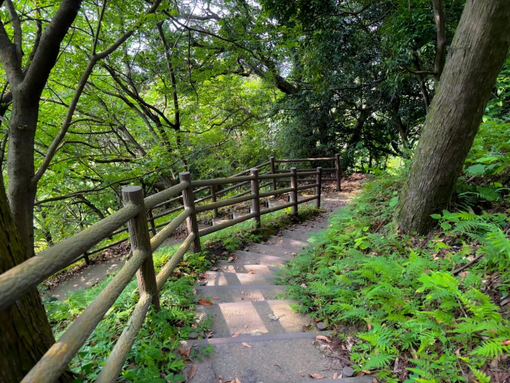 牛根麓埋没鳥居