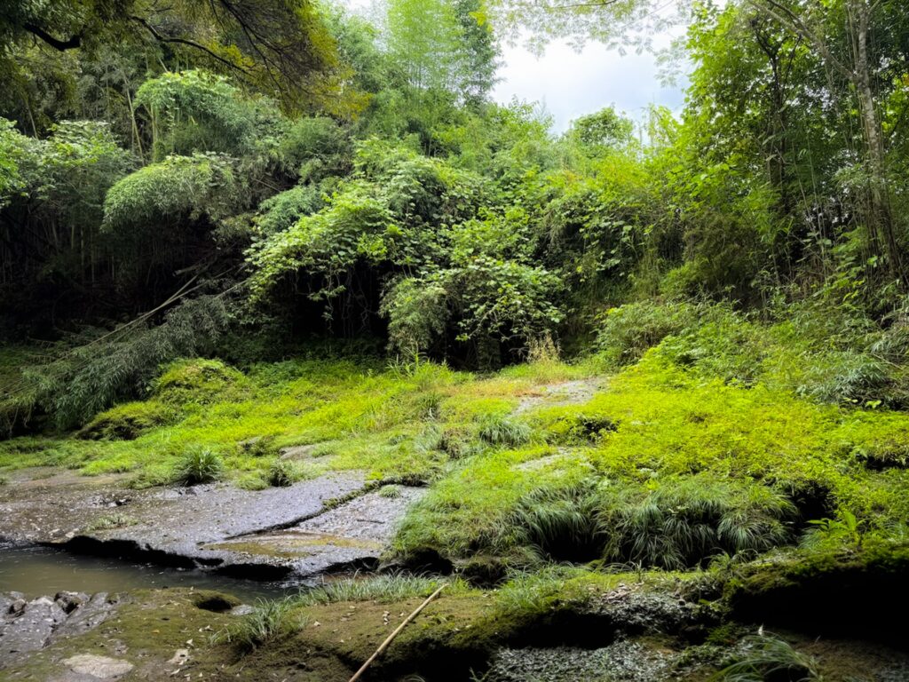 上鶴橋（天然アーチ橋）
