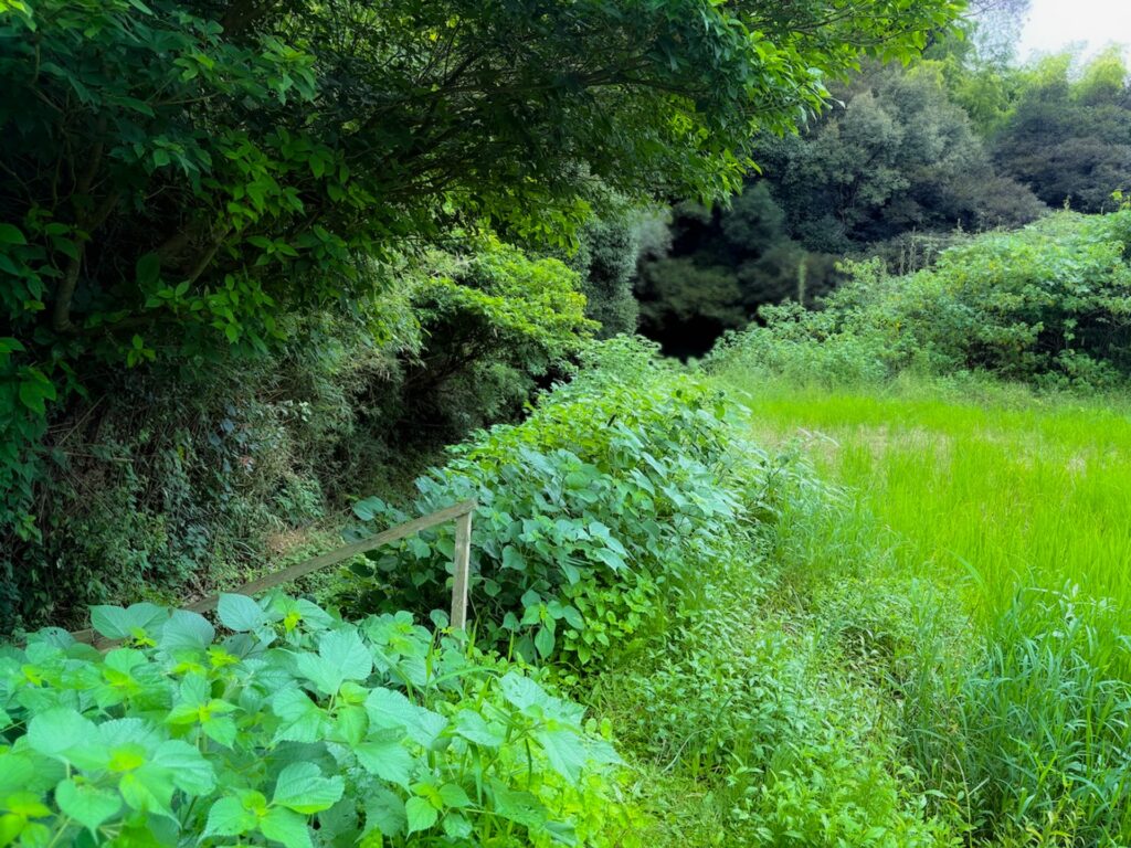 上鶴橋（天然アーチ橋）
