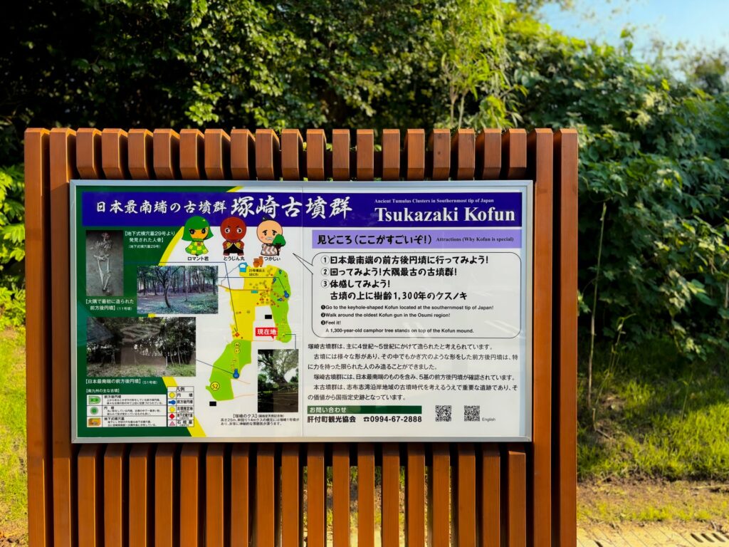 塚崎の大クス