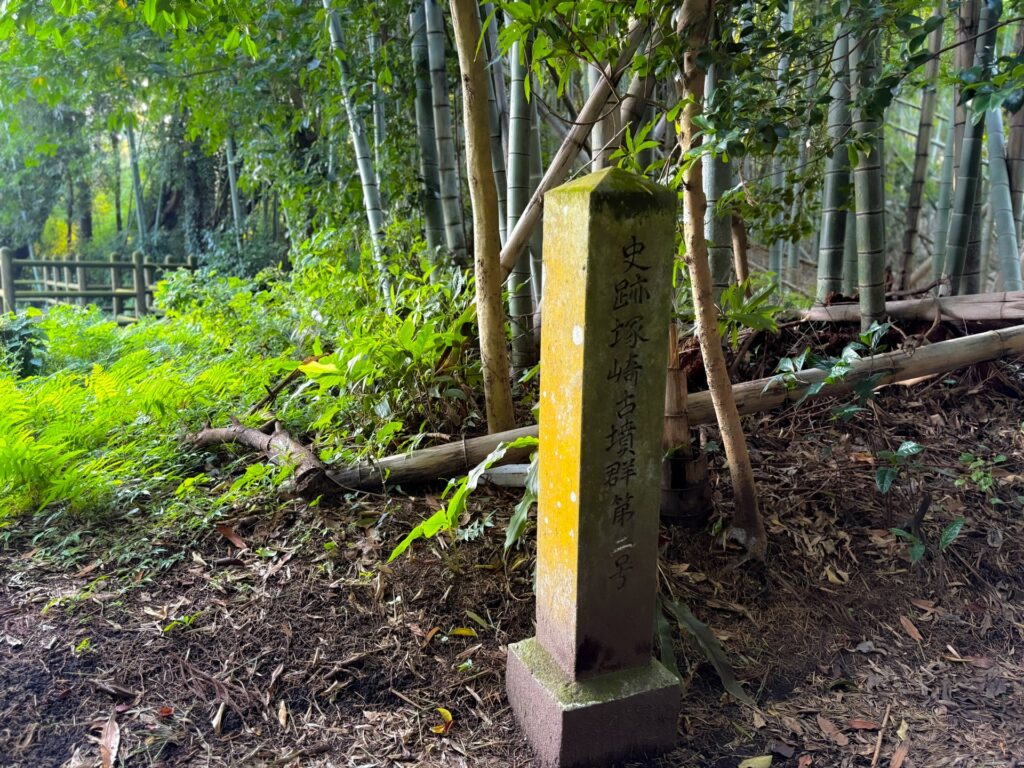 塚崎の大クス