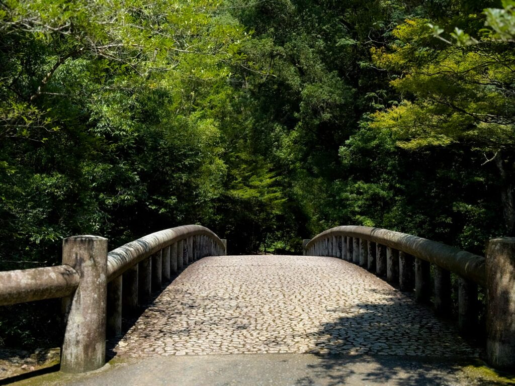 吾平山上陵
