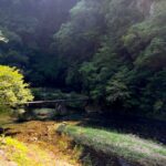 吾平山上陵