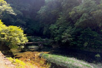 吾平山上陵