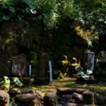 道隆寺跡