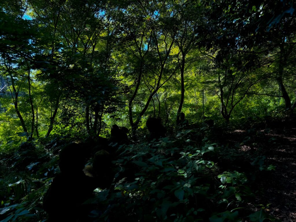 道隆寺跡