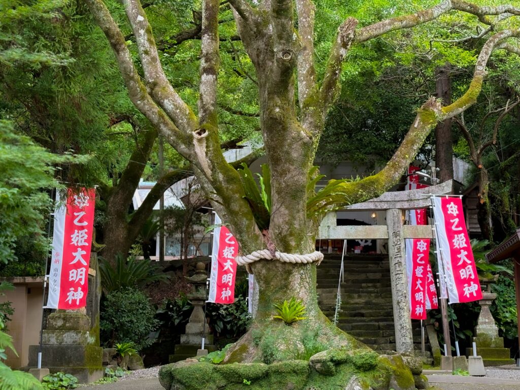 吾平津神社